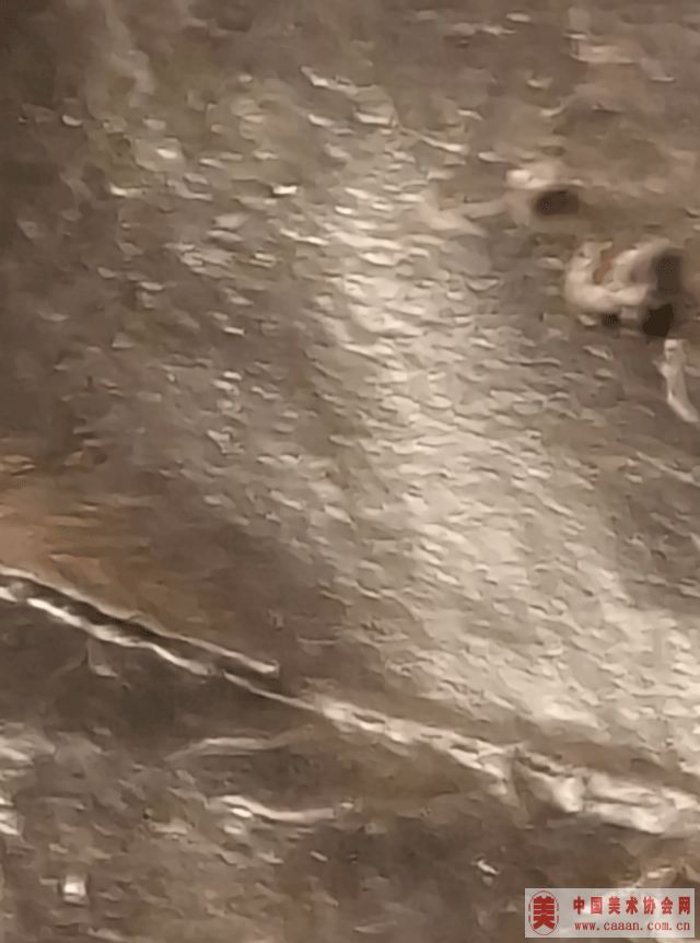 ��������Ʒ